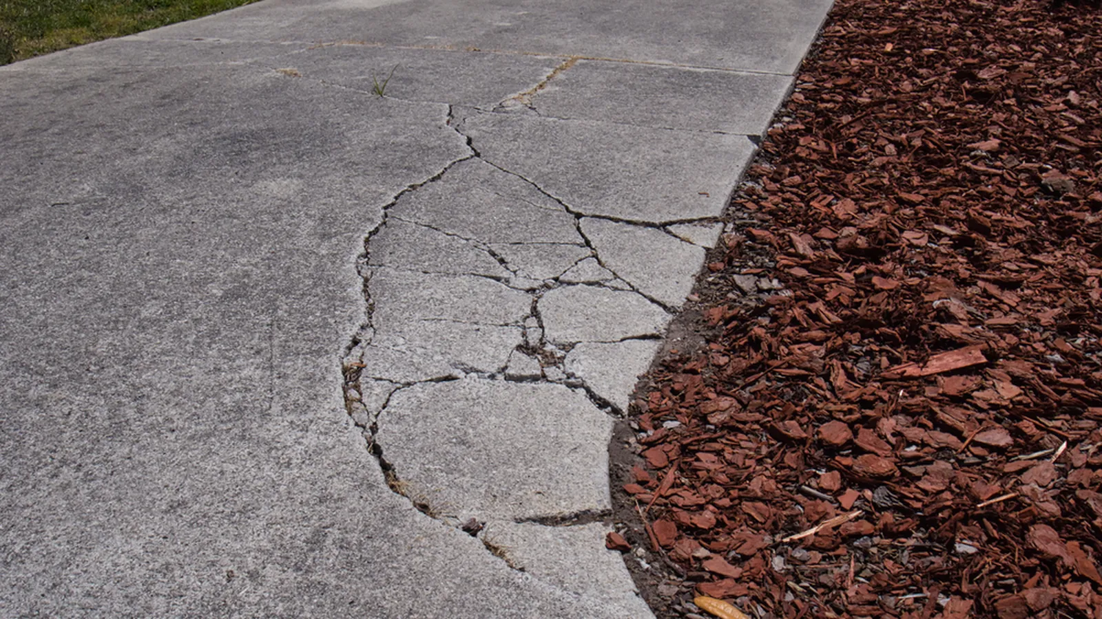 Cracked concrete driveway showing a spreading crack pattern next to a garden bed